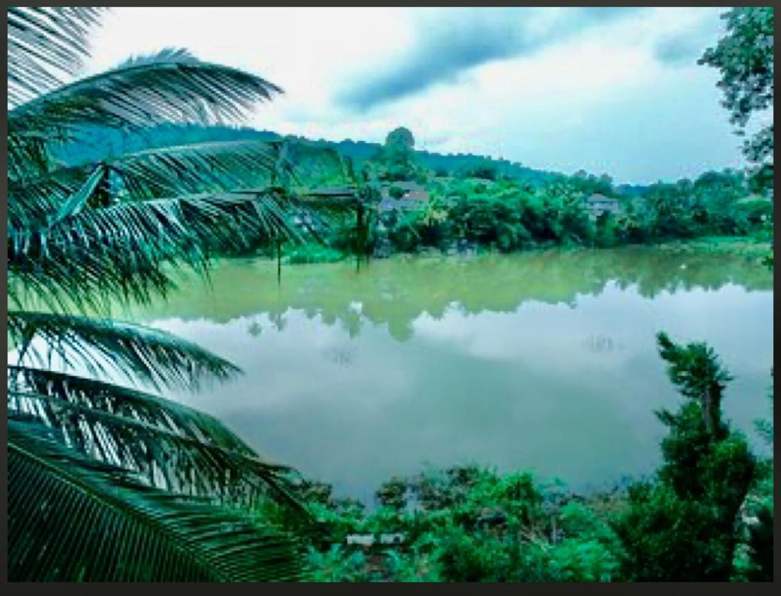 Amanzi Residence Kandy Bagian luar foto