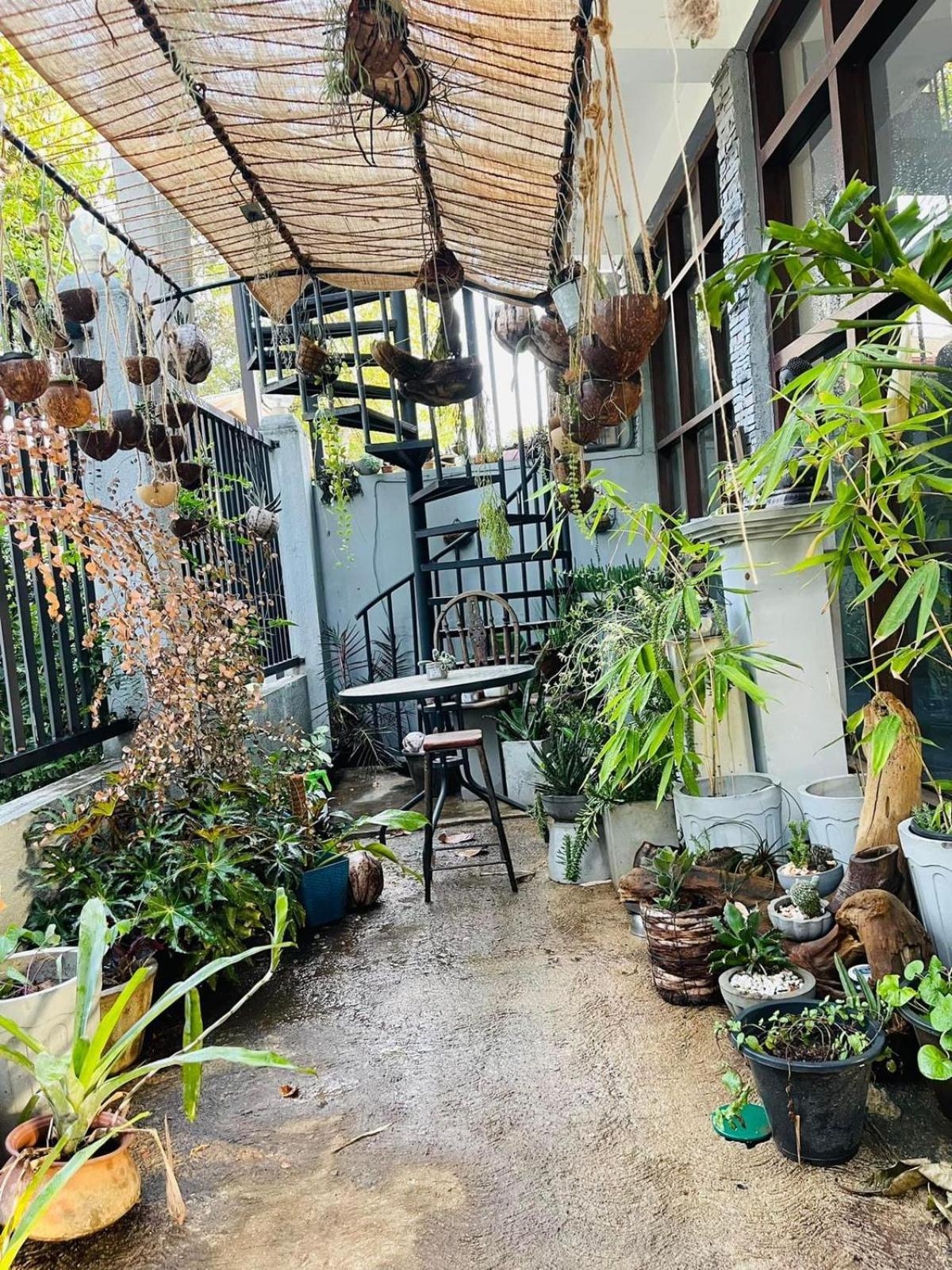 Amanzi Residence Kandy Bagian luar foto